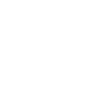 Action Coach · 5 Caminos Rentabilidad